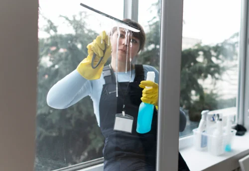 Nettoyage de vitres intérieures et extérieures à Châtenoy-le-Royal